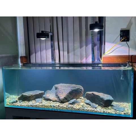 Đèn LON rọi Love Ecology RGB cao cấp (Chỉnh APP) - Đánh màu cá màu màu cây rực rỡ, sóng nước Biotope huyền ảo