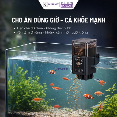 Máy cho cá ăn tự động Aqua Smith 320A – Cho ăn đúng giờ, chống ẩm 3 lớp, hẹn giờ 3 chế độ, dùng PIN