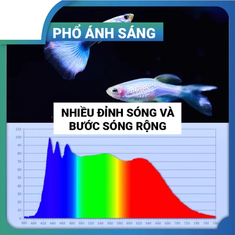 Đèn Netlea Aquatime AT900WS  - Đèn LED bể cá, thủy sinh tùy chỉnh qua App, ánh sáng tự nhiên (KÈM GIÁ TREO)