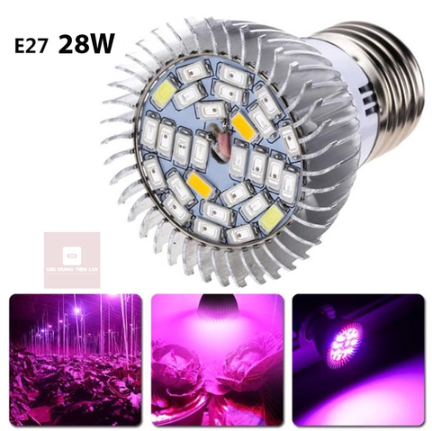 Đèn LED trồng cây - đèn quang hợp cho cây