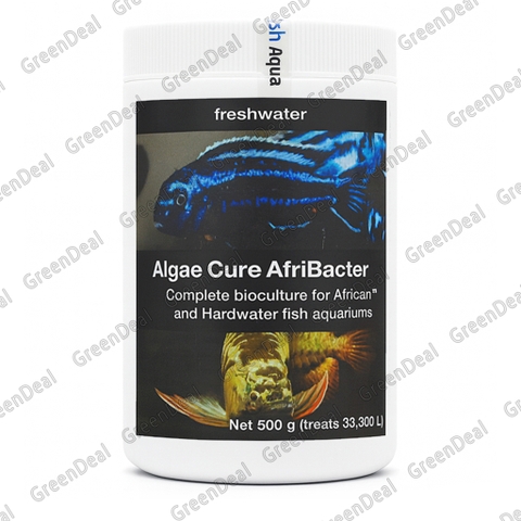 LOVEFISH - Algae Cure AfriBacter