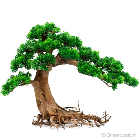 Bonsai Driftwood GH-PLASTIC/02