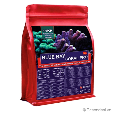 BLUE BAY - Salt Pro