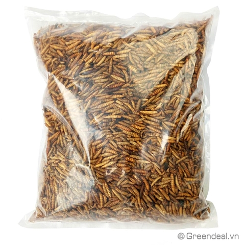 GREEN AQUA - Dried Calci-Worms