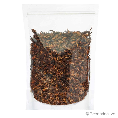 GREEN AQUA - Diried Crickets