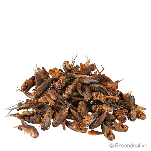 GREEN AQUA - Diried Crickets