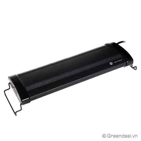 ODYSSEA - Dual Pro T5HO (50/65 cm)