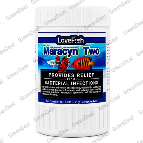 LOVEFISH - Maracyn Two