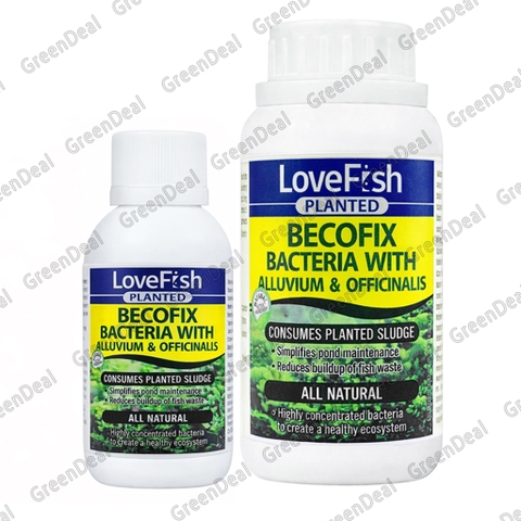 LOVEFISH - Planted Becofix