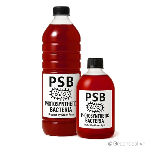 GREEN AQUA - PSB
