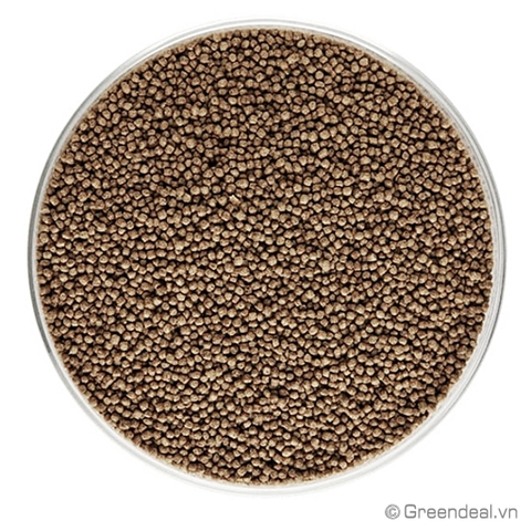 GREEN AQUA - Snakehead Fish Food