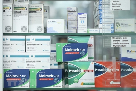 Hà Nội phân bổ khẩn 400.000 viên thuốc Molnupiravir điều trị