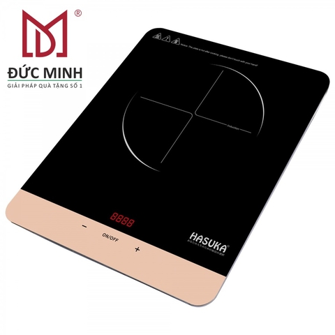 Bếp từ ( Bếp Điện Từ ) 1501