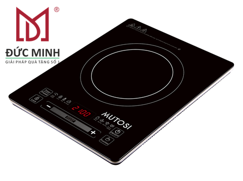 Bếp từ ( Bếp Điện Từ ) 1503