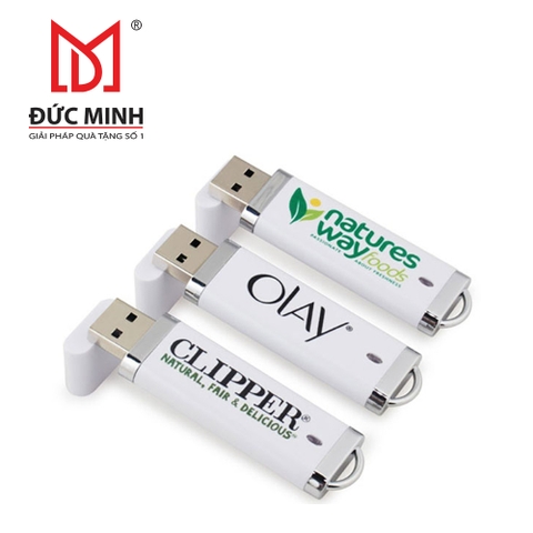 Quà tặng USB vỏ nhựa 3810