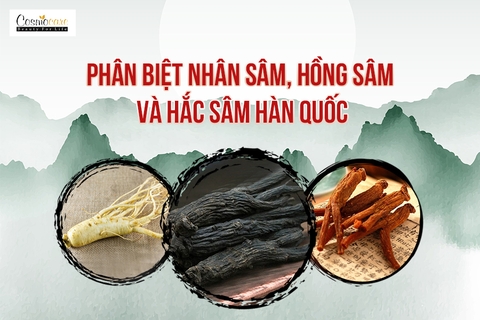 PHÂN BIỆT NHÂN SÂM, HỒNG SÂM VÀ HẮC SÂM