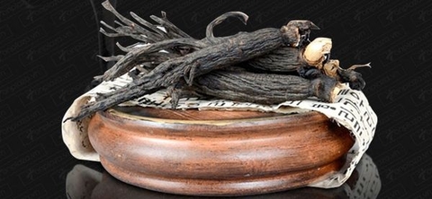 Black Ginseng là gì?