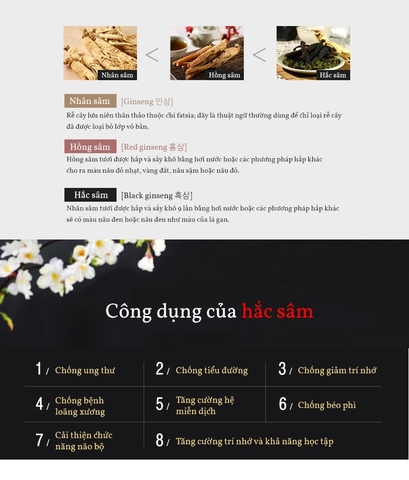3 loại sâm Hàn Quốc: Bạch sâm, Hồng sâm và Hắc sâm, loại nào tốt hơn?