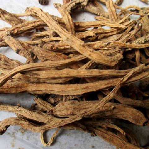 Chỉ cần uống Hắc sâm là không cảm cúm - Điều gì khiến 99% khách hàng của chúng tôi nói vậy?