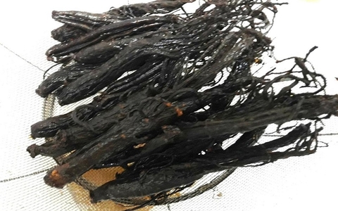 Uống hắc sâm có béo không?