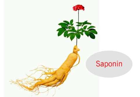 Tác dụng của sâm Hàn Quốc với nam giới, phụ nữ và người cao tuổi