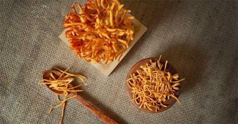 Hướng dẫn cách bảo quản đông trùng hạ thảo khô dinh dưỡng