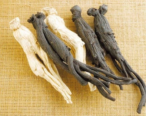 Những công dụng cực hay của Hắc sâm mà bạn cần biết