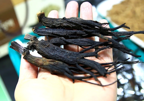 Thực hư chuyện dùng Hắc sâm điều trị ung thư