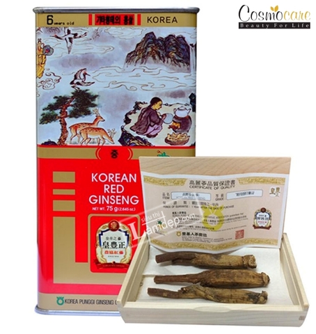 Hồng sâm củ khô 75g (5 củ) Premium