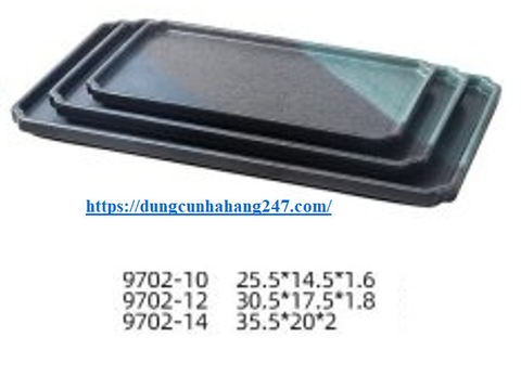 ĐĨA CHỮ NHẬT 9702