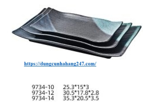 ĐĨA CHỮ NHẬT 9734