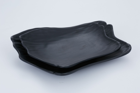 Đĩa đen SC0209, SC0210