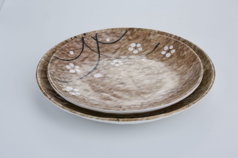 Đĩa mùa thu SC0358, SC0359