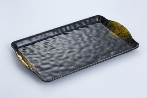 Đĩa đen chấm ánh vàng SC0406