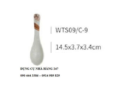 Thìa WTS09