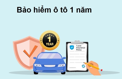 Bảo hiểm ô tô 1 năm
