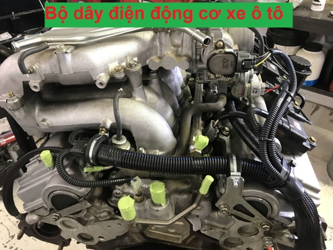 Bộ dây điện động cơ