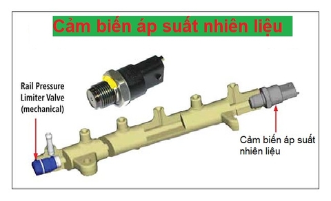 Cảm biến áp suất nhiên liệu