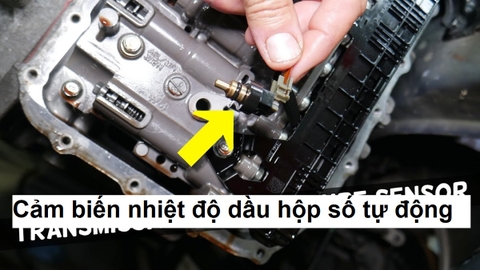 Cảm biến nhiệt độ dầu hộp số tự động