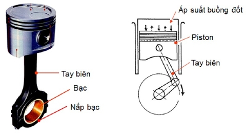 Tay biên là gì ? Cấu tạo tay biên