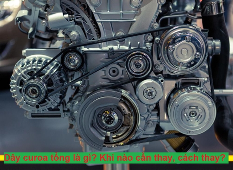 Dây curoa tổng là gì? Khi nào cần thay, cách thay? Thay dây curoa tổng ở đâu?