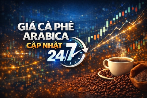 Giá Cà Phê Arabica cập nhật 24/7