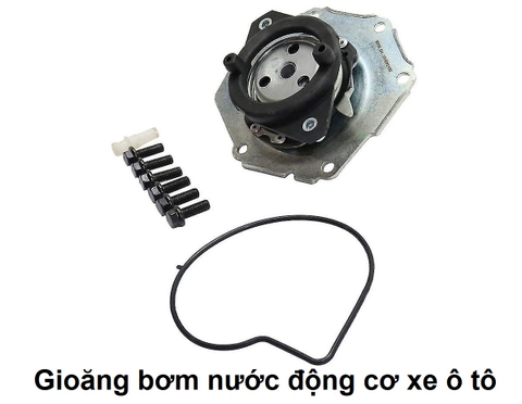 Gioăng bơm nước động cơ xe ô tô