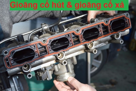Gioăng cổ hút & gioăng cổ xả