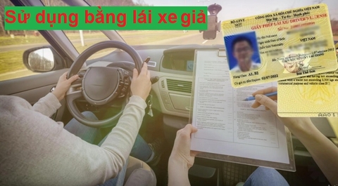 Hậu quả của việc sử dụng bằng lái xe giả