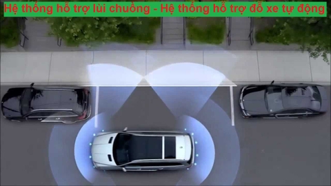 Hệ thống hỗ trợ lùi chuồng - Hệ thống hỗ trợ đỗ xe tự động (Active Park Assist)