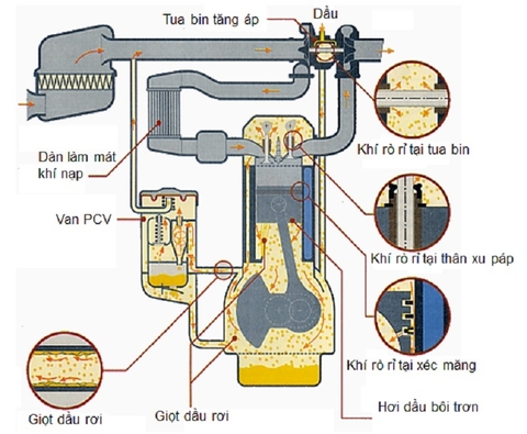 Tìm hiểu về hệ thống thông hơi ( dầu ) trong động cơ ô tô