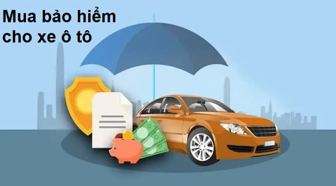 Mua bảo hiểm xe ô tô