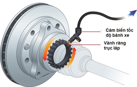 Nguyên lý và cấu tạo cảm biến tốc độ bánh xe