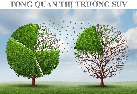 Tổng quan thị trường dòng xe ô tô SUV